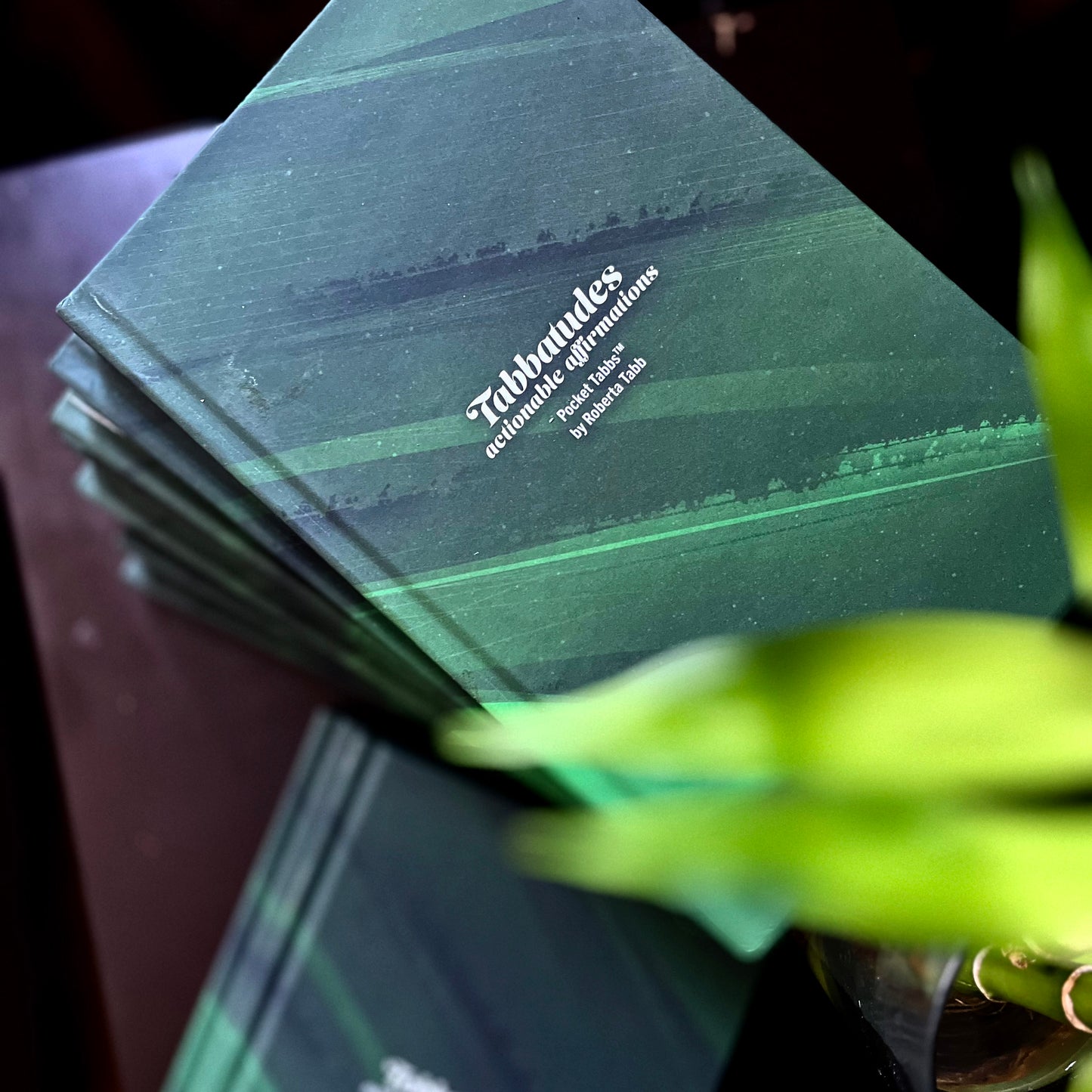 Cover of Tabbatudes : Actionable Affirmations book